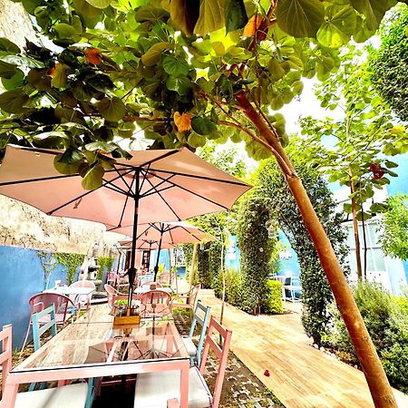 Xoxula By Inmense Hotel Cholula Ngoại thất bức ảnh
